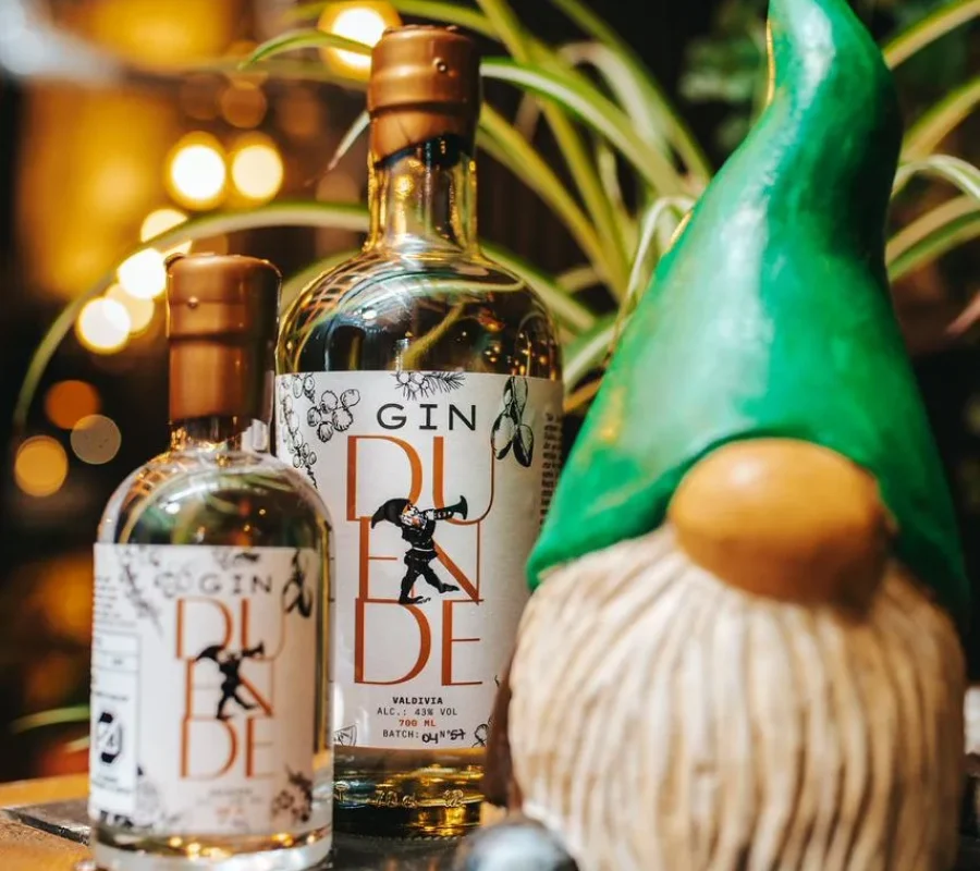 WhatsApp Image 2026-03-16 at 11.02.53