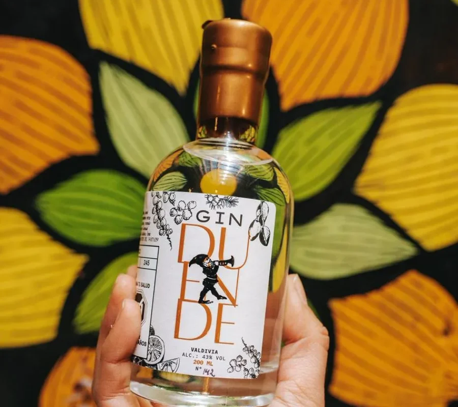 WhatsApp Image 2026-03-16 at 11.02.54