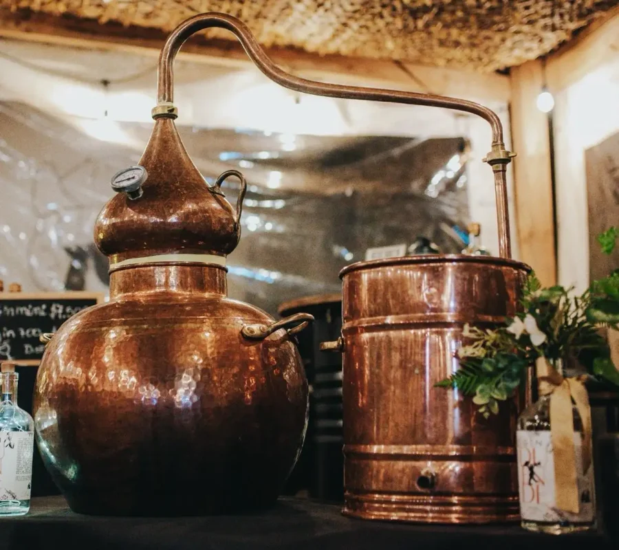 WhatsApp Image 2026-03-16 at 11.02.55